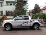 Ford F bei Sportwagen.expert - Abbildung (2 / 5)