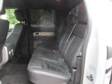 Ford F bei Sportwagen.expert - Abbildung (7 / 9)