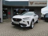 Cupra Formentor bei Sportwagen.expert - Abbildung (2 / 13)