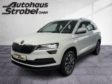 Skoda Karoq bei Sportwagen.expert - Abbildung (2 / 15)