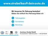 VW Golf Sportsvan bei Sportwagen.expert - Abbildung (3 / 15)