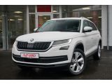 Skoda Kodiaq bei Sportwagen.expert - Abbildung (2 / 15)