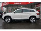 Skoda Kodiaq bei Sportwagen.expert - Abbildung (9 / 15)