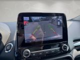Ford EcoSport bei Sportwagen.expert - Abbildung (13 / 14)
