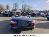 Jaguar XK8 bei Sportwagen.expert - Abbildung (9 / 15)