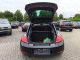 VW New Beetle bei Sportwagen.expert - Abbildung (3 / 15)