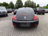 VW New Beetle bei Sportwagen.expert - Abbildung (2 / 15)