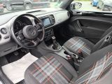 VW New Beetle bei Sportwagen.expert - Abbildung (13 / 15)