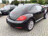 VW New Beetle bei Sportwagen.expert - Abbildung (5 / 15)