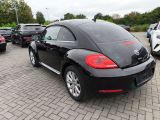 VW New Beetle bei Sportwagen.expert - Abbildung (4 / 15)