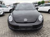 VW Beetle bei Sportwagen.expert - Abbildung (11 / 15)