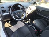 Kia Picanto bei Sportwagen.expert - Abbildung (11 / 12)
