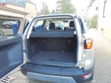 Ford EcoSport bei Sportwagen.expert - Abbildung (9 / 14)