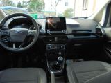 Ford EcoSport bei Sportwagen.expert - Abbildung (11 / 14)
