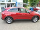 Ford Kuga bei Sportwagen.expert - Abbildung (2 / 13)