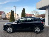 Ford Kuga bei Sportwagen.expert - Abbildung (6 / 15)