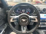 Ford Mustang bei Sportwagen.expert - Abbildung (13 / 15)