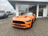 Ford Mustang bei Sportwagen.expert - Abbildung (4 / 15)