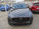 Mazda CX 5 bei Sportwagen.expert - Abbildung (2 / 11)