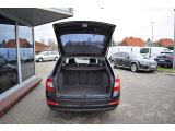 Skoda Octavia bei Sportwagen.expert - Abbildung (4 / 13)