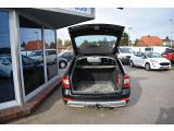 Skoda Octavia bei Sportwagen.expert - Abbildung (4 / 15)