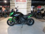 Kawasaki Versys bei Sportwagen.expert - Abbildung (4 / 15)