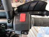 Kawasaki Versys bei Sportwagen.expert - Abbildung (14 / 15)