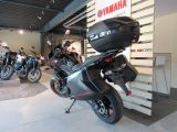 Kawasaki Versys bei Sportwagen.expert - Abbildung (11 / 15)