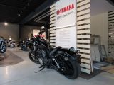 Yamaha XV bei Sportwagen.expert - Abbildung (3 / 15)