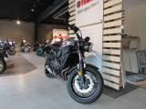 Yamaha XSR bei Sportwagen.expert - Abbildung (7 / 15)