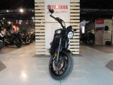 Yamaha XSR bei Sportwagen.expert - Abbildung (6 / 15)