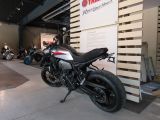 Yamaha XSR bei Sportwagen.expert - Abbildung (4 / 15)