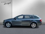 Skoda Octavia bei Sportwagen.expert - Abbildung (4 / 15)