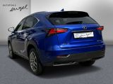 Lexus NX bei Sportwagen.expert - Abbildung (6 / 15)