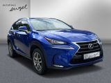 Lexus NX bei Sportwagen.expert - Abbildung (3 / 15)