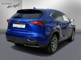 Lexus NX bei Sportwagen.expert - Abbildung (5 / 15)