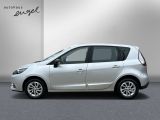 Renault Scenic bei Sportwagen.expert - Abbildung (4 / 15)