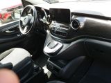Mercedes-Benz 250 bei Sportwagen.expert - Abbildung (10 / 15)
