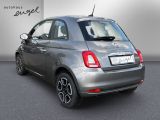 Fiat 500 bei Sportwagen.expert - Abbildung (7 / 11) Fiat 500 bei Sportwagen.expert - Abbildung (7 / 11)