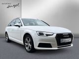 Audi A4 bei Sportwagen.expert - Abbildung (4 / 11)