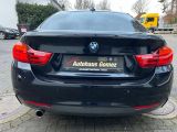 BMW 4er bei Sportwagen.expert - Abbildung (3 / 15)