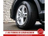 Audi Q3 bei Sportwagen.expert - Abbildung (7 / 15)