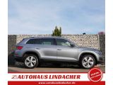 Skoda Kodiaq bei Sportwagen.expert - Abbildung (3 / 15)