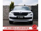 Skoda Kodiaq bei Sportwagen.expert - Abbildung (5 / 15)