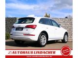 Audi Q5 bei Sportwagen.expert - Abbildung (7 / 15)
