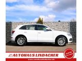 Audi Q5 bei Sportwagen.expert - Abbildung (5 / 15)
