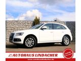Audi Q5 bei Sportwagen.expert - Abbildung (3 / 15)