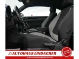 VW Beetle bei Sportwagen.expert - Abbildung (7 / 15)