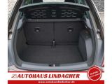 VW Beetle bei Sportwagen.expert - Abbildung (12 / 15)