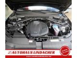 Audi Q5 bei Sportwagen.expert - Abbildung (9 / 15)